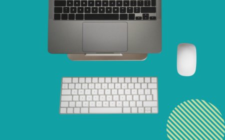 4 Best Student Online Tools for Research and Academic Papers